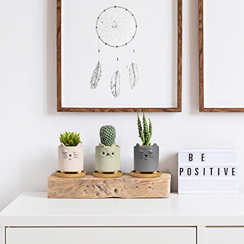 T4U Succulent Pots Ceramic Cartoon 2.5 Inch with Saucer Set of 6, ...