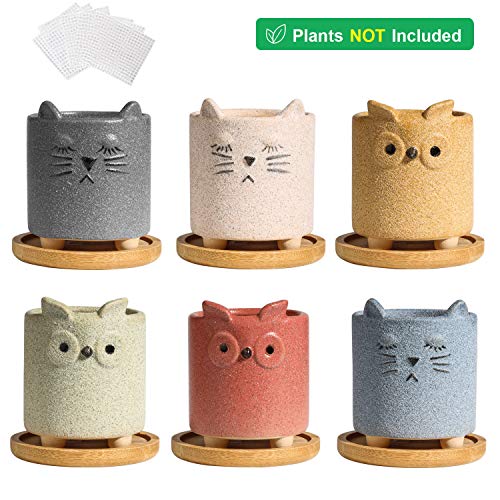 T4U Succulent Pots Ceramic Cartoon 2.5 Inch with Saucer Set of 6, ...