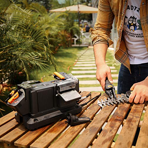 TACKLIFE Multifunctional Sharpener, 1.67A Bench Grinder with Flexi...