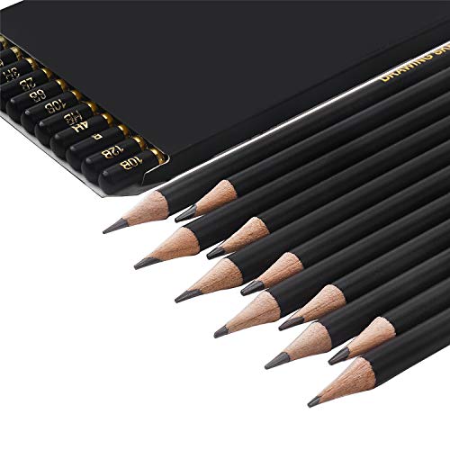 TAMATA Professional Drawing Sketching Pencil Set - 12 Pieces Art D...