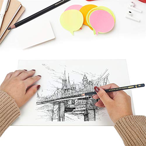 TAMATA Professional Drawing Sketching Pencil Set - 12 Pieces Art D...