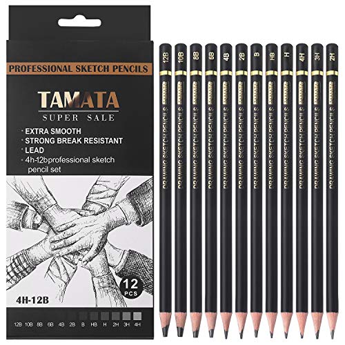 TAMATA Professional Drawing Sketching Pencil Set - 12 Pieces Art D...