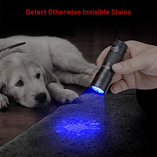 TaoTronics Black Light, 12 LEDs 395nm UV Blacklight Flashlights De...