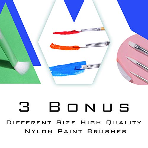 TBC The Best Crafts 12 Colors12 x 12ml Acrylic Paint Set for Pro...