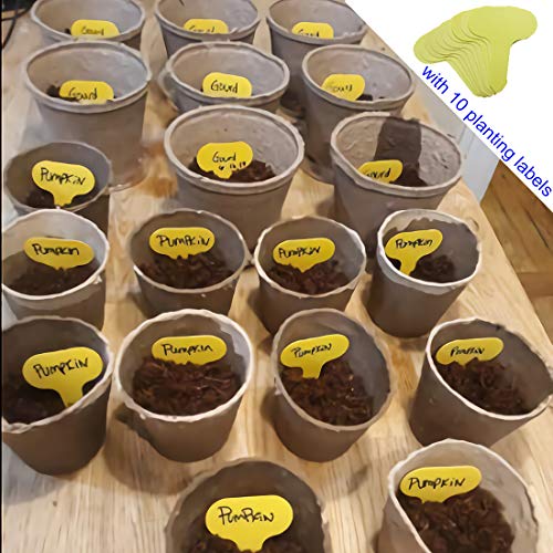 Auger Drill Bit 1.6x9inch & 3x12inch Garden Plant Flower Bulb Auge...