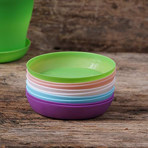 TDHDIKE 10 Pcs Plastic Planters Indoor Flower Plant Pots, Mini Flo...