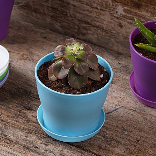 TDHDIKE 10 Pcs Plastic Planters Indoor Flower Plant Pots, Mini Flo...