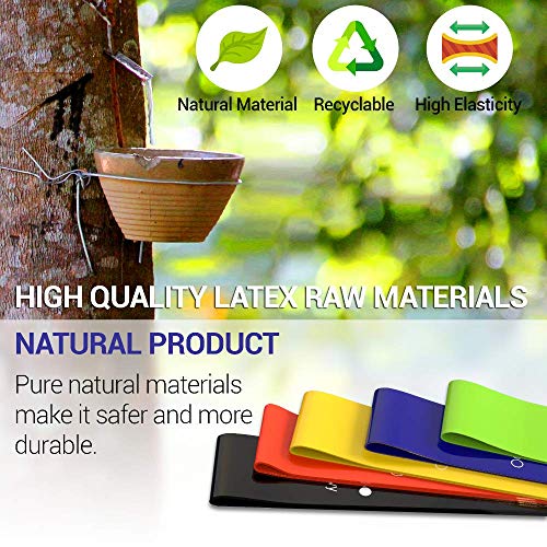 TechStone Resistance Bands Set for Men and Women, Pack of 5 Differ...