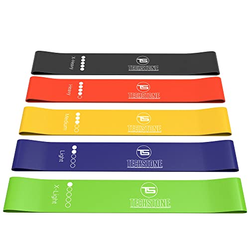 TechStone Resistance Bands Set for Men and Women, Pack of 5 Differ...