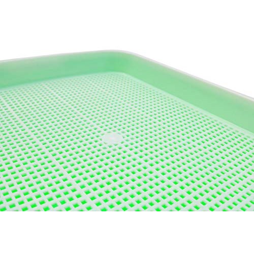 Tefson Living Seed Sprouter Trays 4-Tier Stand Comes with 4 Sheets...