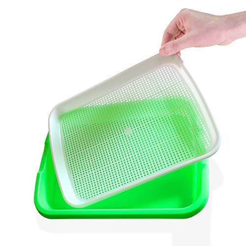 Tefson Living Seed Sprouter Trays 4-Tier Stand Comes with 4 Sheets...