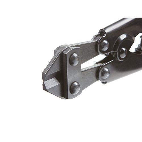 TEKTON 8 Bolt Cutter | 3386