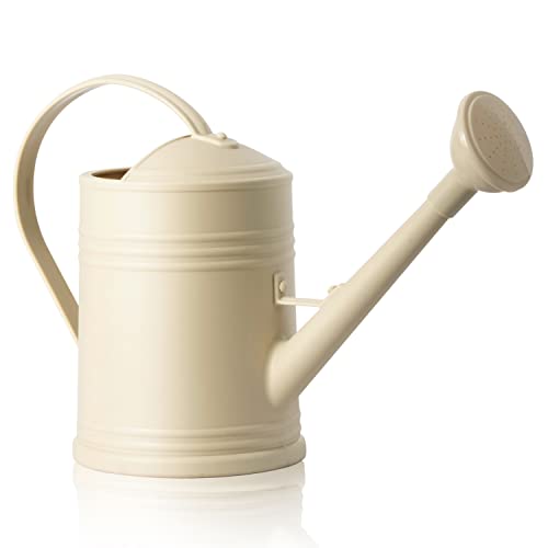 Watering Can for Indoor Plants, Flower Watering Can, Water Can for...