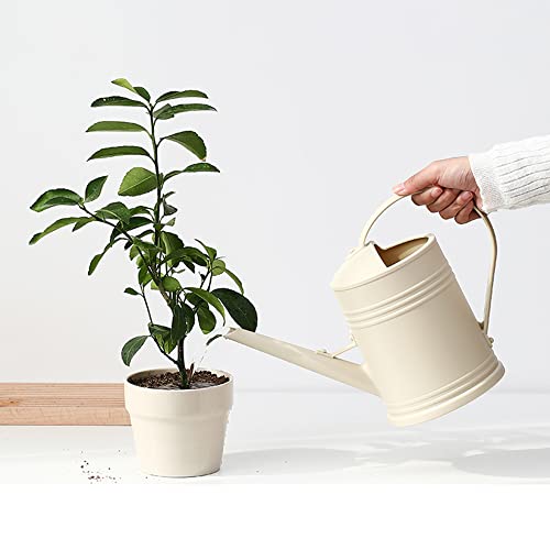 Watering Can for Indoor Plants, Flower Watering Can, Water Can for...