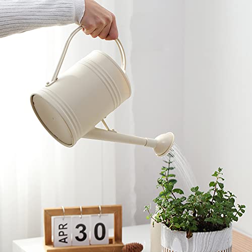 Watering Can for Indoor Plants, Flower Watering Can, Water Can for...