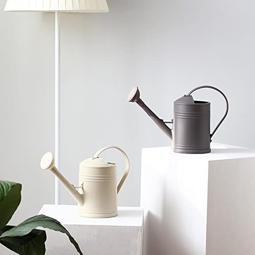 Watering Can for Indoor Plants, Flower Watering Can, Water Can for...