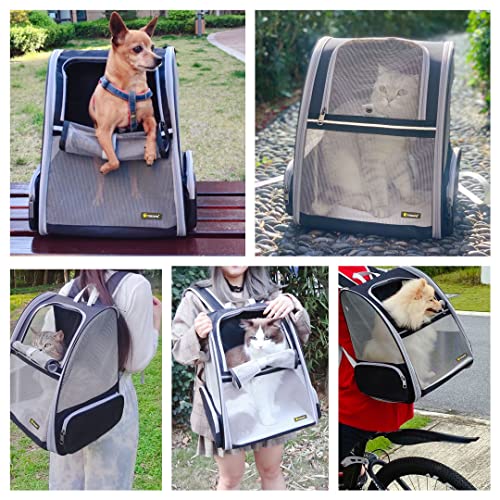 Texsens Innovative Traveler Bubble Backpack Pet Carriers for Cats ...