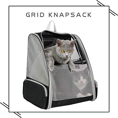 Texsens Innovative Traveler Bubble Backpack Pet Carriers for Cats ...