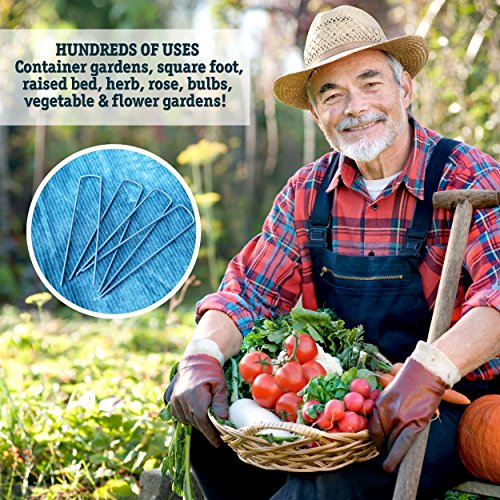 50 6-Inch Garden Landscape Staples Stakes Pins - USA Strong Pro Qu...