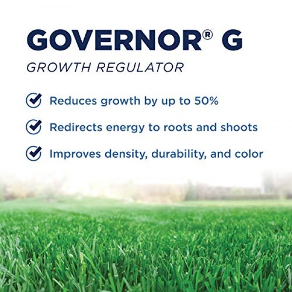The Andersons Governor G Granular Lawn Growth Regulator GGR - 34...