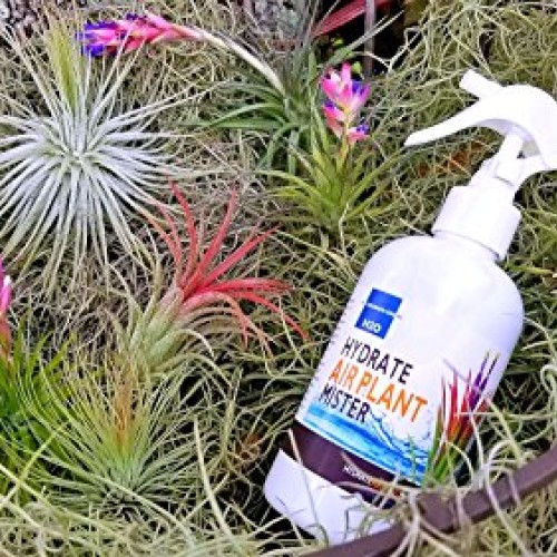 The Drunken Gnome Tillandsia Air Plant Food and Fertilizer for Enh...