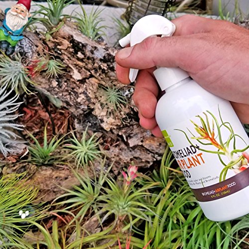 The Drunken Gnome Tillandsia Air Plant Food and Fertilizer for Enh...