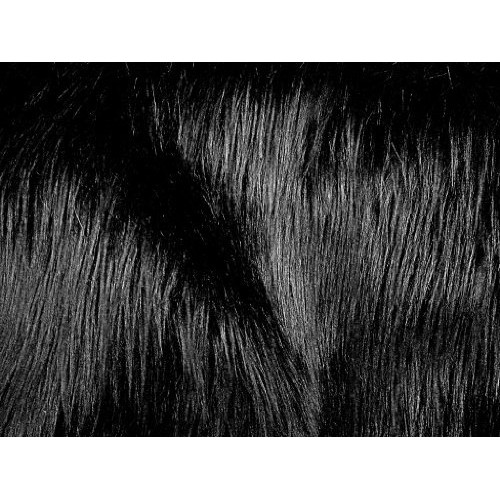 Faux Fur Luxury Shag Black 60 Inch Wide Fabric By the Yard F.E.