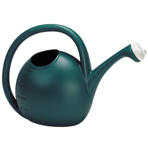 Akro Mils RZWC2G0B91 Watering Can, Evergreen, 2-Gallon