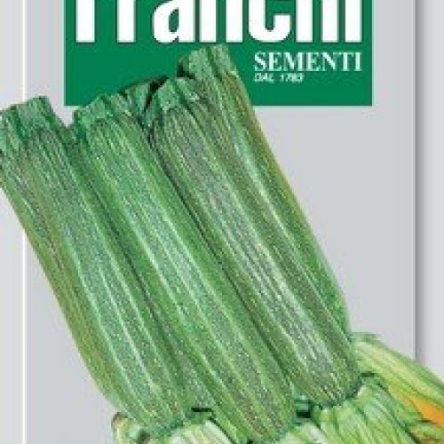 Italian Heirloom Zucchini - Romanesco