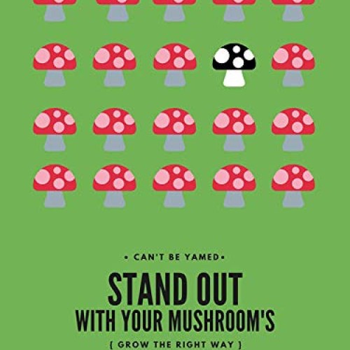 The Magnificent Bee All in One Mushroom Grow Bags 10 Count | Oys...