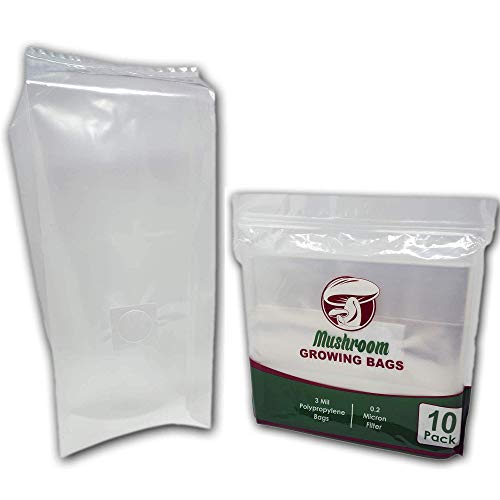 The Magnificent Bee All in One Mushroom Grow Bags 10 Count | Oys...