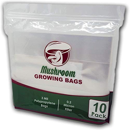 The Magnificent Bee All in One Mushroom Grow Bags 10 Count | Oys...