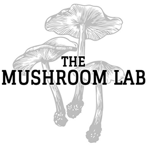 Mushroom Liquid Culture - Shiitake 3782 Lentinula edodes
