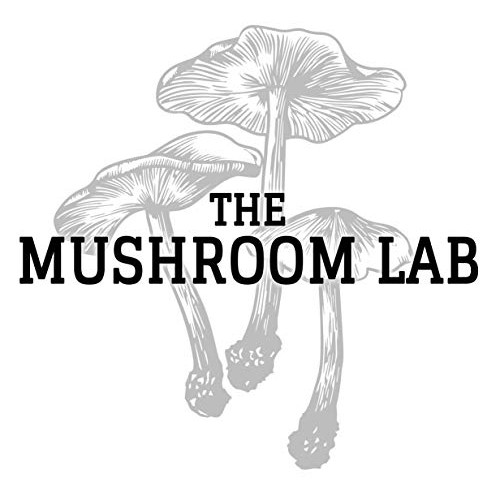 Mushroom Liquid Culture - Shiitake 3782 Lentinula edodes