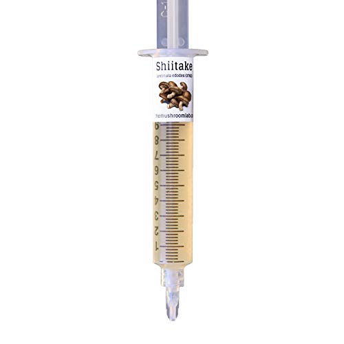 Mushroom Liquid Culture - Shiitake 3782 Lentinula edodes