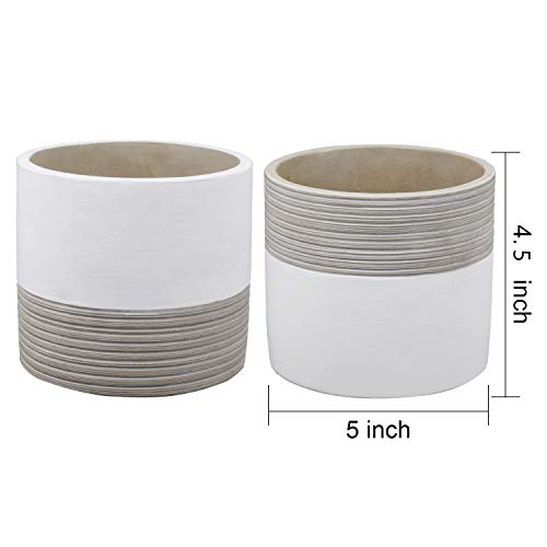 Brief Succulent Pots, 5 inch Diameter, 2 Pack Modern Cement Cactus...