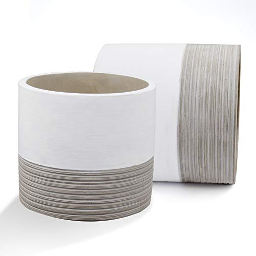 Brief Succulent Pots, 5 inch Diameter, 2 Pack Modern Cement Cactus...