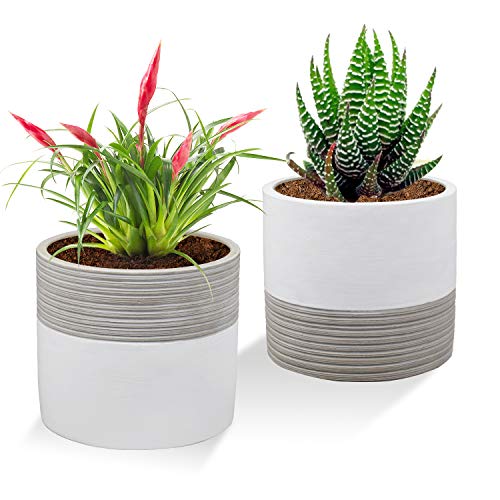 Brief Succulent Pots, 5 inch Diameter, 2 Pack Modern Cement Cactus...
