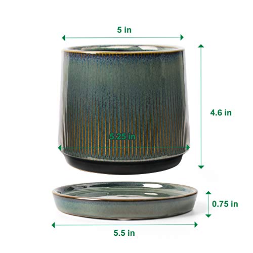 Ceramic Flower Planter Pots for Plants, 5 Inch Succulent Planters ...