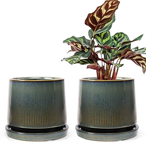 Ceramic Flower Planter Pots for Plants, 5 Inch Succulent Planters ...