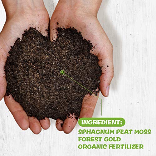 Organic Seed Starting Soil Potting Mix, Green Seeding Sol Mix for ...