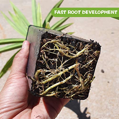 Organic Seed Starting Soil Potting Mix, Green Seeding Sol Mix for ...