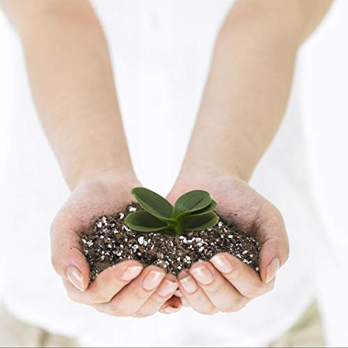 Organic Succulent and Cactus Soil Mix, Fast Draining Pre-Mixed Coa...