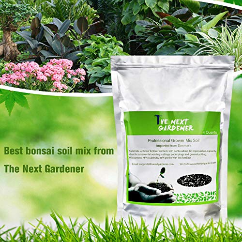 Organic Succulent and Cactus Soil Mix, Fast Draining Pre-Mixed Coa...