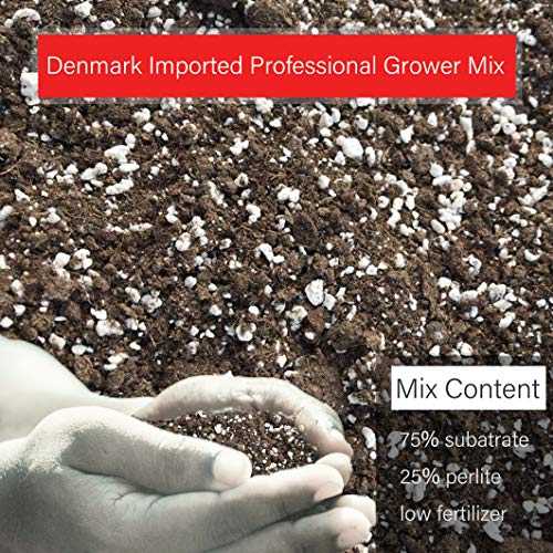 Organic Succulent and Cactus Soil Mix, Fast Draining Pre-Mixed Coa...