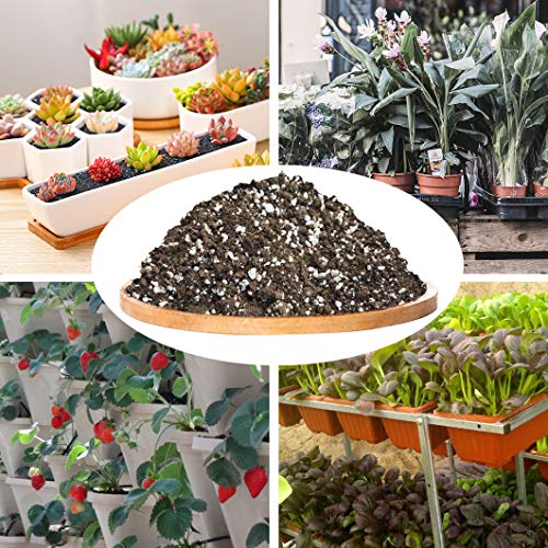 Organic Succulent and Cactus Soil Mix, Fast Draining Pre-Mixed Coa...