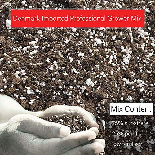 Professional Grower Mix Soil Fast Draining Pre-Mixed Coarse Blend ...