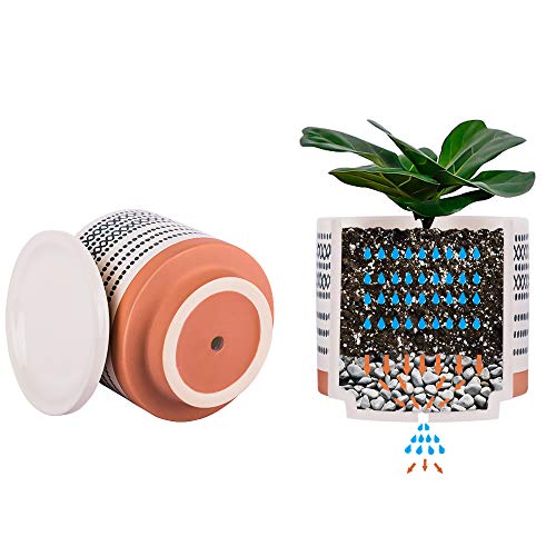 Succulent Pots, Small Flower Pots Indoor, 5 Inch Ceramic Planter P...