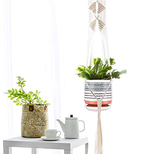 Succulent Pots, Small Flower Pots Indoor, 5 Inch Ceramic Planter P...