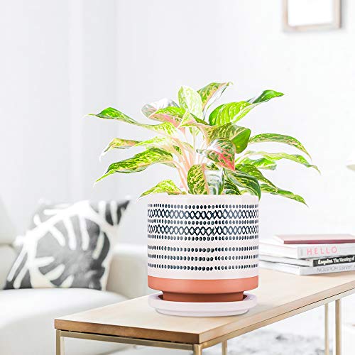 Succulent Pots, Small Flower Pots Indoor, 5 Inch Ceramic Planter P...